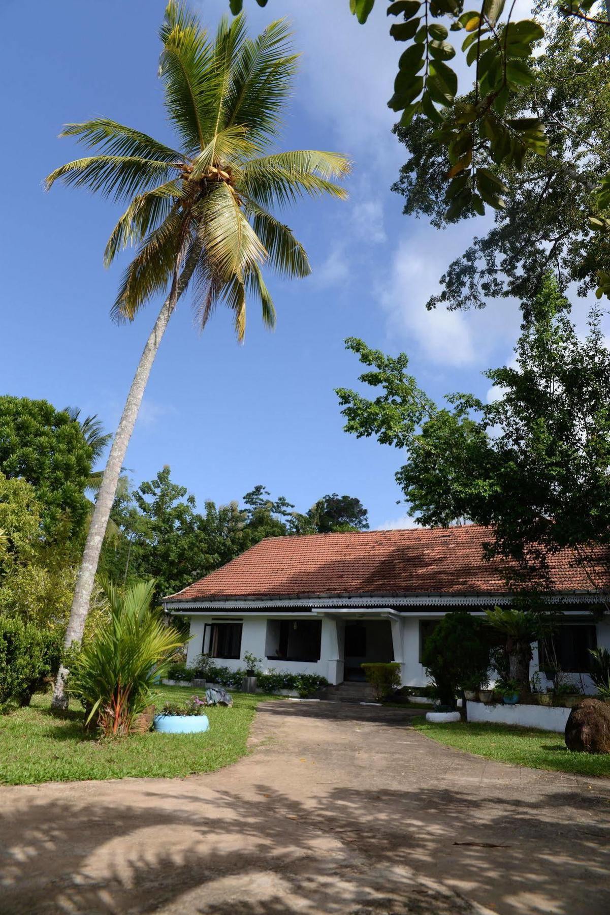 Maggie Garden Hostel Galle Buitenkant foto